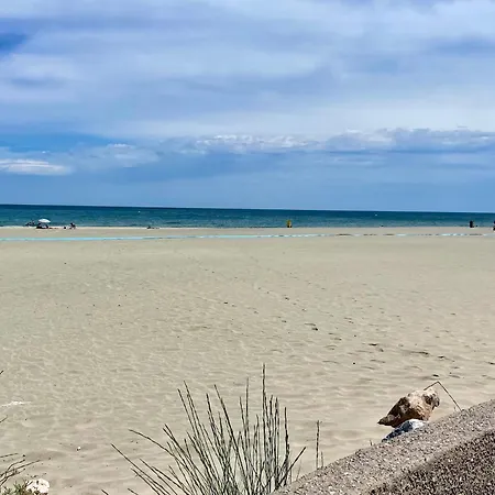 Rdc Avec Piscine, A 60m De La Plage, Proche Commerces, Wifi, Parking En Option - Fr-1-748-28 Appartement *